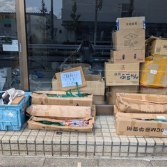 【無料】好きなものあげますの画像