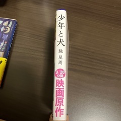 少年と犬の画像