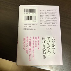 少年と犬の画像