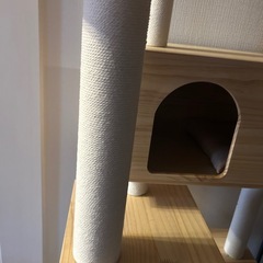 キャットタワーの画像