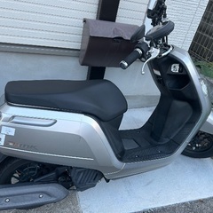 ホンダ DUNK 原付 50cc 9,000km リコール対応済み ダンクの画像