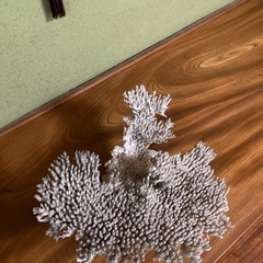 置物　オブジェの画像