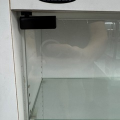 コレクションケース　ショーケースの画像