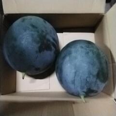 🍉超レアな黒スイカ2玉🍉の画像