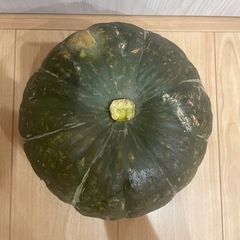 かぼちゃ　野菜　23センチの画像