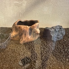 60cm水槽　※コトブキProgressの画像