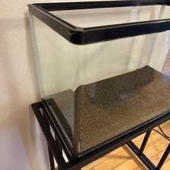60cm水槽　※コトブキProgressの画像