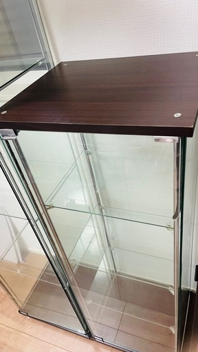 コレクションケース