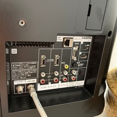 SONY BRAVIA  26インチの画像