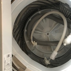 Panasonic 洗濯機　5.0kg NA-F5B1 2023年製の画像