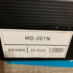 mountain dsagon 安全靴　25.0の画像