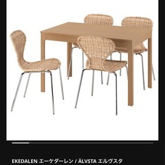IKEA エルヴスタ　ラタンチェアの画像