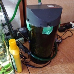 熱帯魚水槽の画像