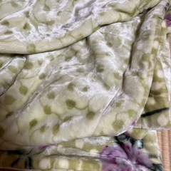 毛布
の画像