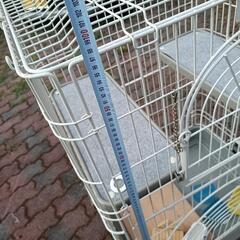 鳥かご、ゲージ 大の画像