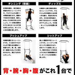 チンニングスタンド ファイティングロード社製の画像