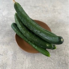 🥒採れたて野菜🍆なす、きゅうり🥒の画像