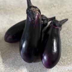 🥒採れたて野菜🍆なす、きゅうり🥒の画像