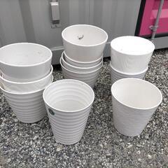 陶器鉢・プラスチック鉢 8～9号鉢 【取りに来ていただける方限定】の画像