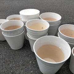 陶器鉢・プラスチック鉢 8～9号鉢 【取りに来ていただける方限定】の画像