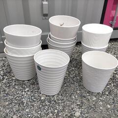陶器鉢・プラスチック鉢 8～9号鉢 【取りに来ていただける方限定】の画像
