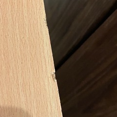 カラーボックスの画像