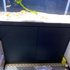 水槽セットの画像