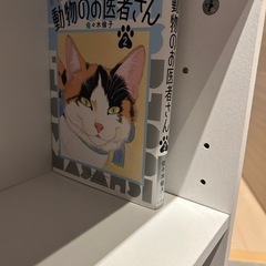 可動式漫画棚の画像