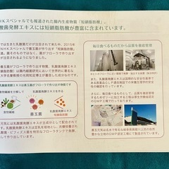 【新品未開封】善玉元気 300g (10g×30包)の画像