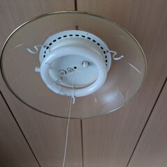 紐式蛍光灯の画像