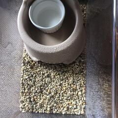 レオパ等爬虫類の飼育セットの画像