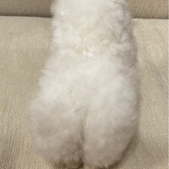 アルパカ ぬいぐるみの画像
