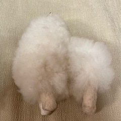 アルパカ ぬいぐるみの画像