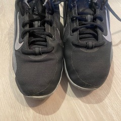 NIKE ナイキ　バスケットシューズの画像