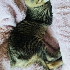 お尻が可愛い男の子💙お話し中です😺