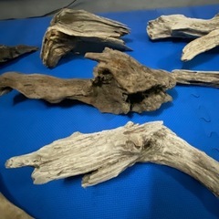 中型流木　爬虫類、昆虫、熱帯魚、メダカ飼育、インテリアなどにの画像