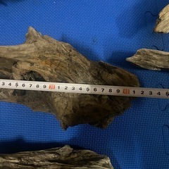 中型流木　爬虫類、昆虫、熱帯魚、メダカ飼育、インテリアなどにの画像