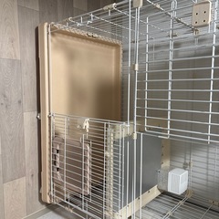 キャットゲージの画像