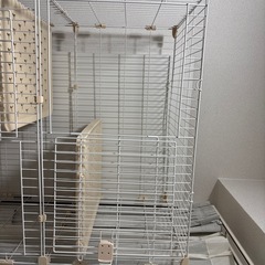 キャットゲージの画像