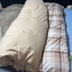 クイーンサイズ、羽毛掛け布団の画像