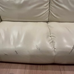 ローソファー(お届けすることも可能)の画像
