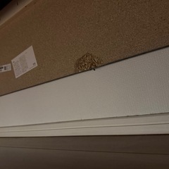 IKEA HEMLINGBY ヘムリングビー 2人掛けソファ, ボームスタード ブラックの画像