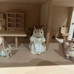 シルバニアの画像