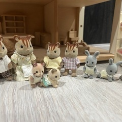 シルバニアの画像