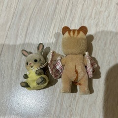 シルバニアの画像