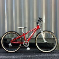 ROIstyle332 カスタム スペシャライズドhotrock 24の画像