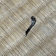 磯竿2号ジャンクの画像