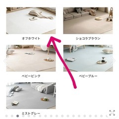 『19日受付終了』ジョイントマットの画像