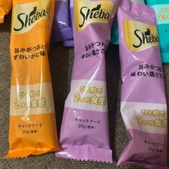 Shebaの画像