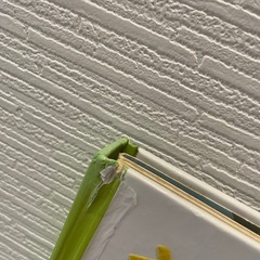 知育絵本の画像
